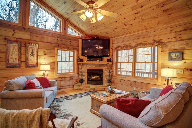 fireplace Vaulted Ceiling, TV view at Arbor Den Log Cabin Vacation Rental in Boone Blowing Rock NC area