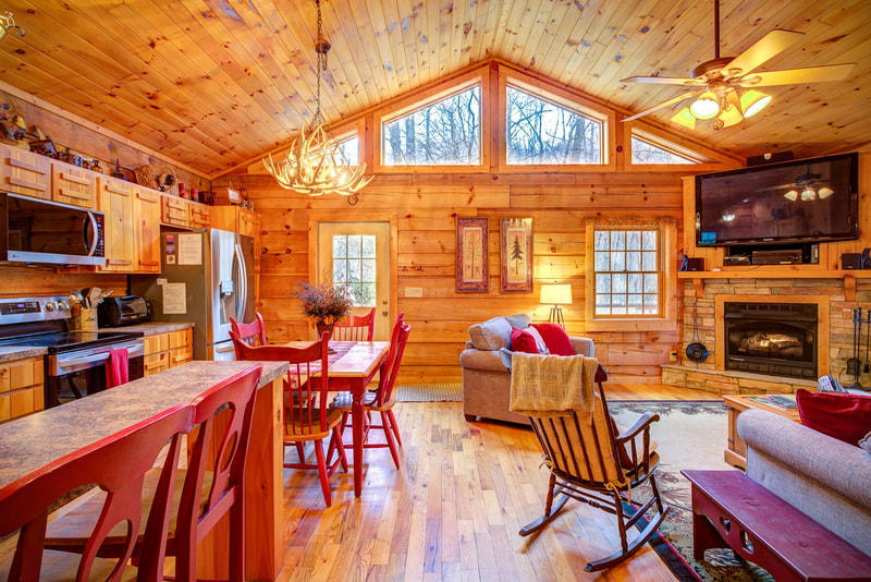 Vaulted Ceiling, TV view at Arbor Den Log Cabin Vacation Rental in Boone Blowing Rock NC area